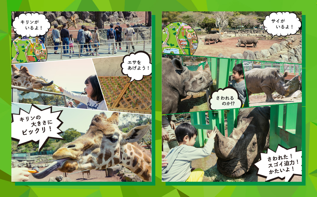 伊豆アニマルキングダム 入園券 2枚 A003 ／ 動物園 チケット 招待券 静岡県 東伊豆町