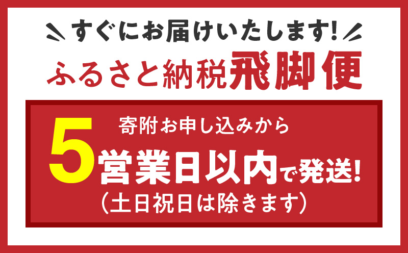 愛知県産コシヒカリ 5kg　安心安全なヤマトライス　H074-548