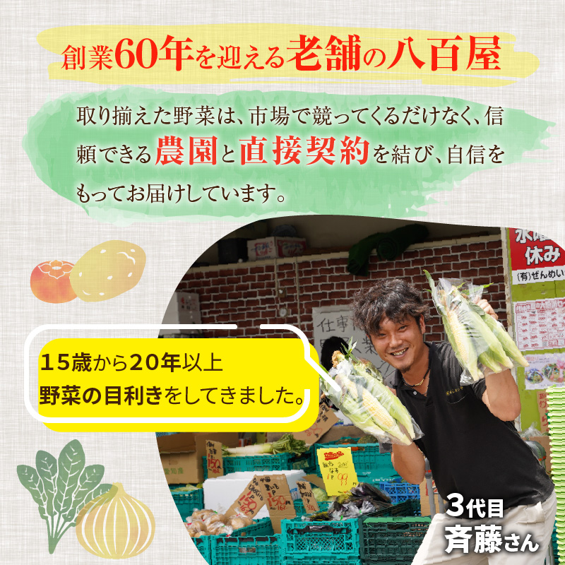 目利きのプロ 八百屋厳選 野菜詰め合わせセット（8～10種類お届け）　H151-010