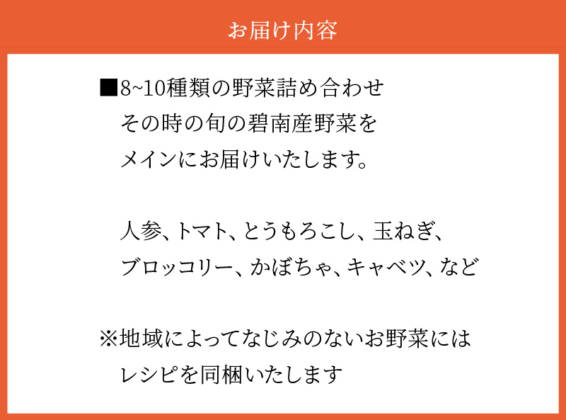 目利きのプロ 八百屋厳選 野菜詰め合わせセット（8～10種類お届け）　H151-010