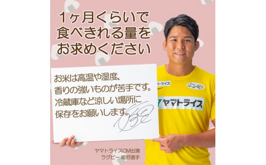 【すぐにお届け&日時指定可】 愛知県産コシヒカリ 5kg　こめ コメ ごはん 安心安全なヤマトライス 米 白米 国産 精米 5キロ　H074-607