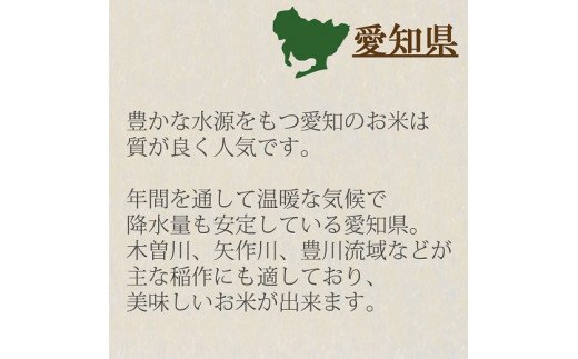 愛知県産コシヒカリ 5kg　※定期便6回　安心安全なヤマトライス　H074-552