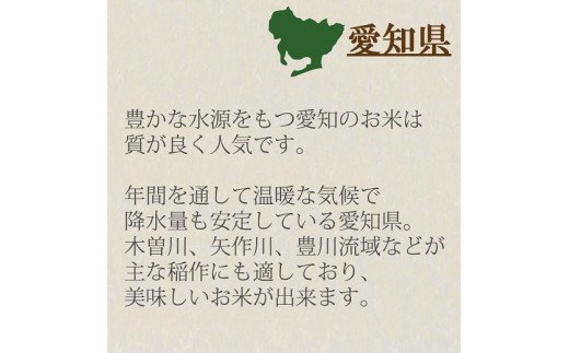 愛知県産コシヒカリ 5kg　※定期便6回　こめ コメ ごはん 安心安全なヤマトライス 米 白米 国産 精米 5キロ　H074-611