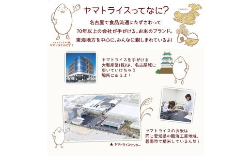 愛知県産コシヒカリ 5kg　※定期便6回　こめ コメ ごはん 安心安全なヤマトライス 米 白米 国産 精米 5キロ　H074-611