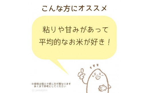 愛知県産コシヒカリ 10kg(5kg×2袋)　※定期便6回　こめ コメ ごはん 安心安全なヤマトライス 米 白米 国産 精米 10キロ　H074-612