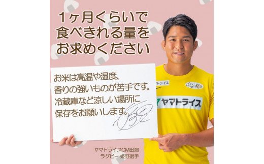 愛知県産コシヒカリ 10kg(5kg×2袋)　※定期便6回　こめ コメ ごはん 安心安全なヤマトライス 米 白米 国産 精米 10キロ　H074-612