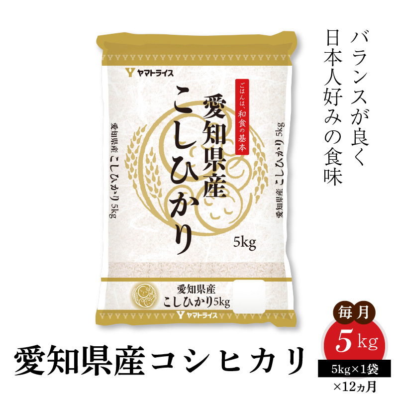 愛知県産コシヒカリ 5kg　※定期便12回　こめ コメ ごはん 安心安全なヤマトライス 米 白米 国産 精米 5キロ　H074-613