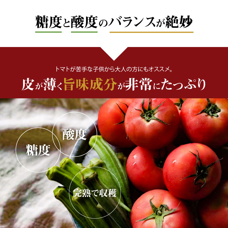 この道40年の農家から直送 完熟！桃太郎トマト 6～9玉　H139-018