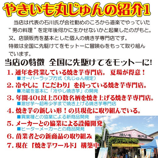 焼き芋 冷凍 冷やし焼き芋 シャリシャリちゃん 1kg(100g×10) 紅はるか＆シルクスイート　H047-033