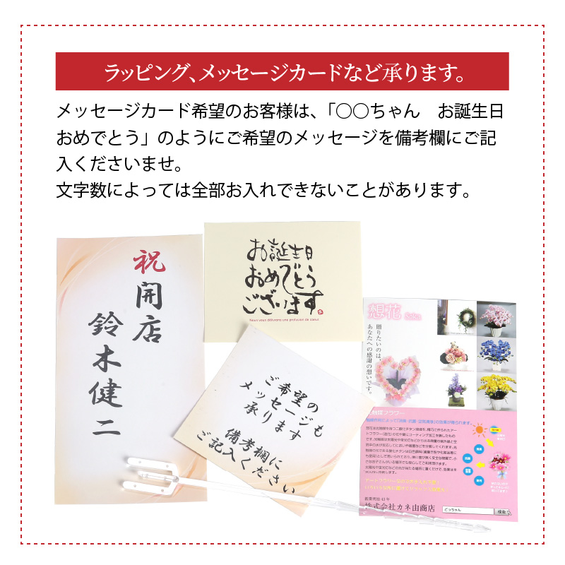 綺麗で丈夫な三河陶器で贈る 光触媒胡蝶蘭小輪３本立（白の陶器×白桃色の花）　H100-083