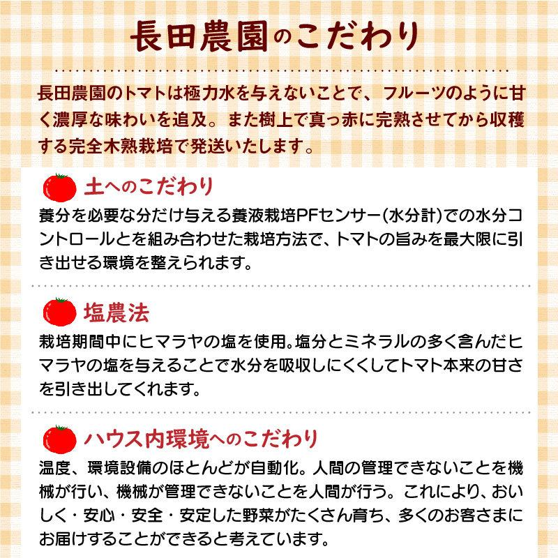 1月～6月毎月発送　プレミアムフルーツトマトの定期便　6回コース　H004-163