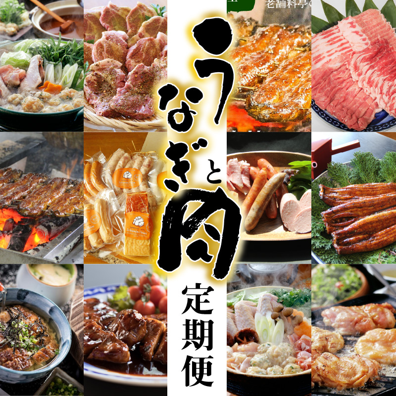 【全12回】厳選！うなぎとお肉の定期便(毎月お届け）　H028-064