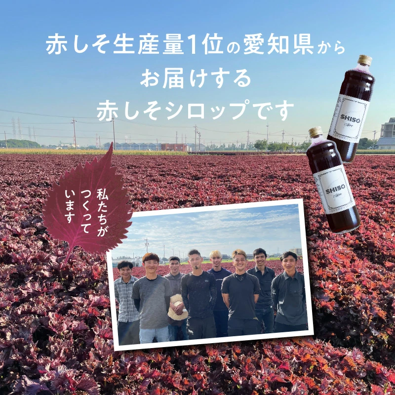 【碧南産赤しそ使用 】さわやかな甘み！農家がつくった赤しそシロップ 600ml×2本　H165-004