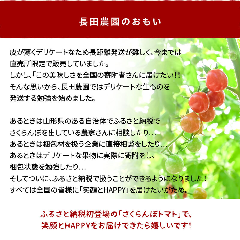 新食感!!奇跡のさくらんぼミニトマトの定期便 約500g×6回コース 野菜ソムリエサミット 金賞 受賞 長田農園 産地直送 トマト とまと 野菜 やさい フルーツ サラダ 濃厚 甘い ご褒美 プレゼント 美容 健康 リピート多数 人気 高評価 数量限定 碧南市 H004-139