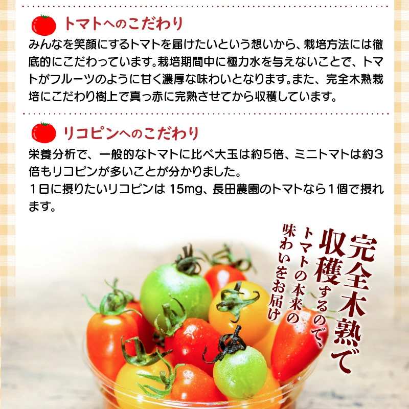 【個数限定】おすすめトマト3種 食べ比べ 1.2～1.5kg 3回定期便　長田農園しかできない夢の共演 野菜ソムリエサミット 金賞 受賞 長田農園 産地直送 トマト とまと 野菜 やさい フルーツ サラダ 濃厚 甘い ご褒美 プレゼント 美容 健康 リピート多数 人気 高評価 数量限定 碧南市 H004-138