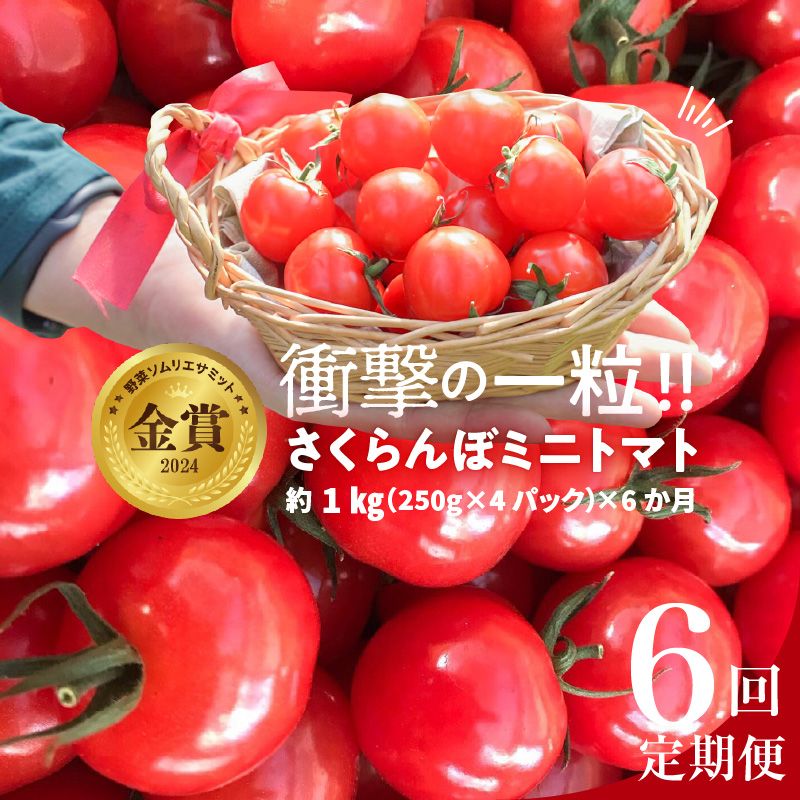 新食感!!奇跡のさくらんぼミニトマトの定期便 約1kg×6回コース 野菜ソムリエサミット 金賞 受賞 長田農園 産地直送 トマト とまと 野菜 やさい フルーツ サラダ 濃厚 甘い ご褒美 プレゼント 美容 健康 リピート多数 人気 高評価 数量限定 碧南市 H004-136