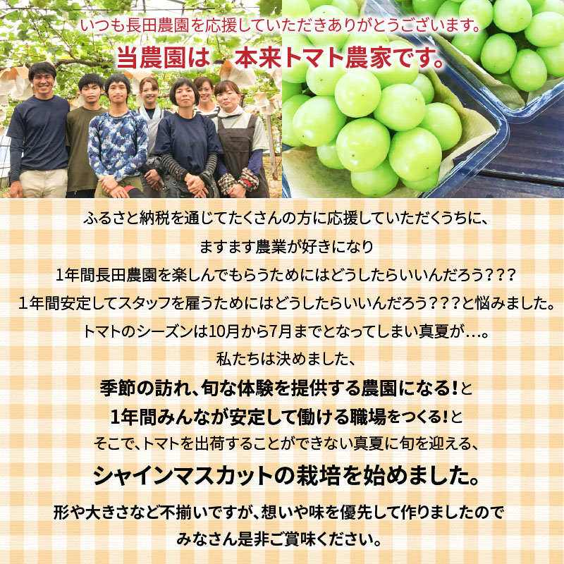 皆さんの応援から実った シャインマスカット 約1.2kg（2房）【数量限定】 フルーツ　H004-151
