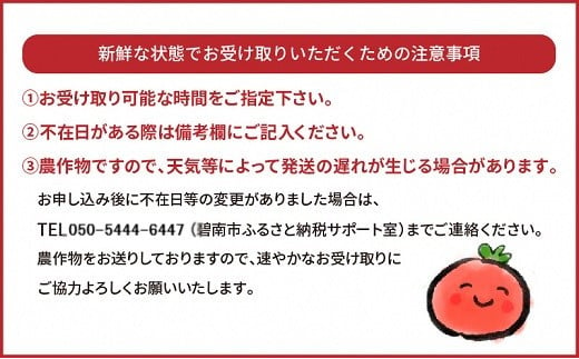 皆さんの応援から実った シャインマスカット 約1.2kg（2房）【数量限定】 フルーツ　H004-151
