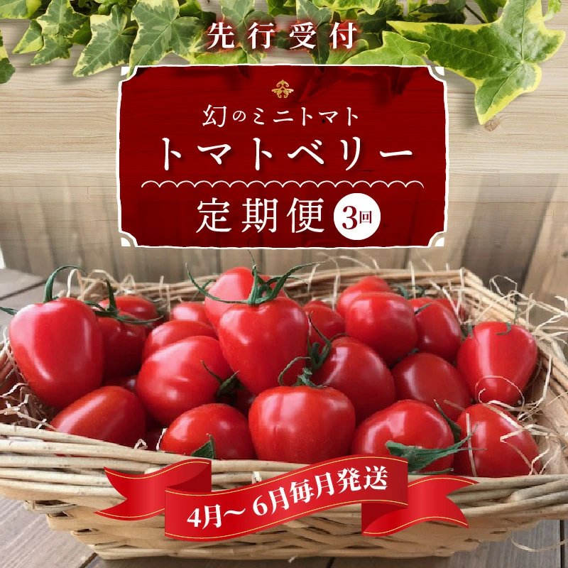 【数量限定】たっぷり約2kg×3回！ 人気No.1トマトベリーの定期便（4月～6月毎月お届け3回コース）　H004-131