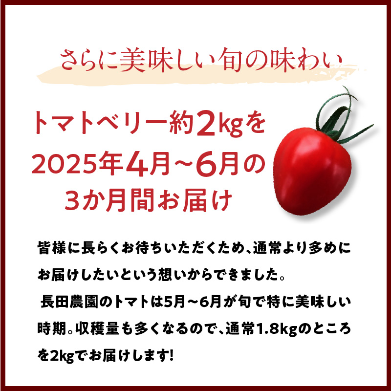 【数量限定】たっぷり約2kg×3回！ 人気No.1トマトベリーの定期便（4月～6月毎月お届け3回コース）　H004-131