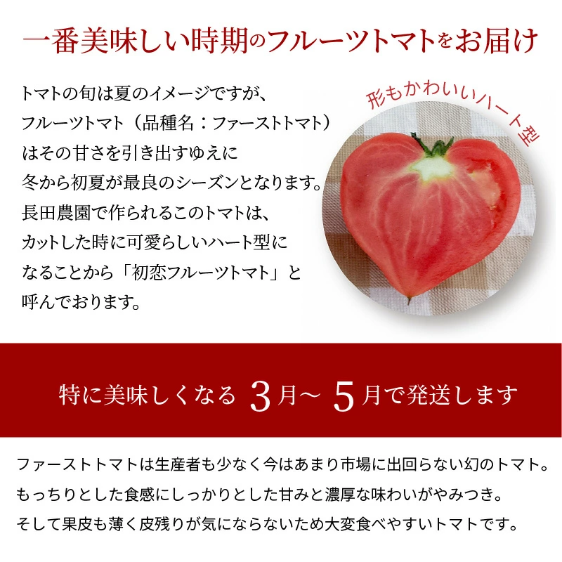 【大人気！】たった3ヶ月しか食べられない　幻のファーストトマト 　たっぷり約1.4kg（3月～5月発送）　長田農園 産地直送 トマト とまと 野菜 やさい フルーツ サラダ 濃厚 甘い ご褒美 プレゼント 美容 健康 リピート多数 人気 高評価 先行受付 数量限定 碧南市　H004-127