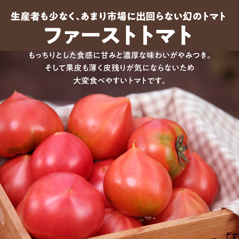 【人気No.1セット】ファンにならずにいられない ファーストトマト＆トマトベリー 計約1.4kｇ（3月～5月で発送） 野菜ソムリエサミット 金賞 受賞 長田農園 産地直送 トマト とまと 野菜 やさい フルーツ サラダ 濃厚 甘い ご褒美 プレゼント 美容 健康 リピート多数 人気 高評価 数量限定 碧南市 H004-149