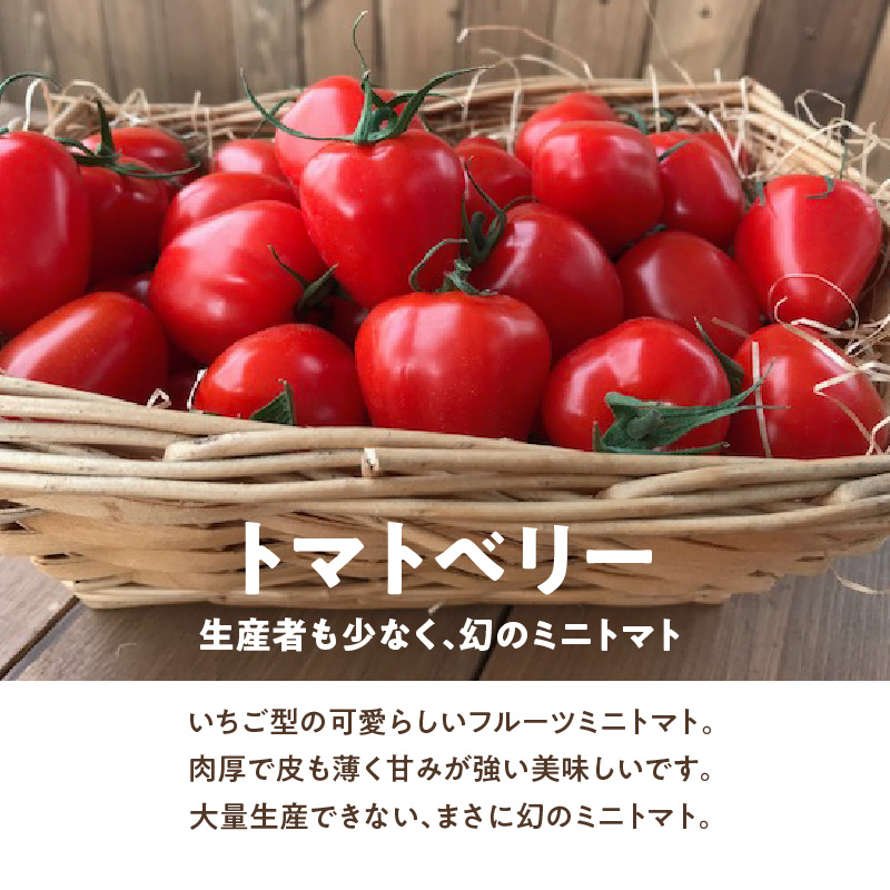 【人気No.1セット】ファンにならずにいられない ファーストトマト＆トマトベリー 計約1.4kｇ（3月～5月で発送） 野菜ソムリエサミット 金賞 受賞 長田農園 産地直送 トマト とまと 野菜 やさい フルーツ サラダ 濃厚 甘い ご褒美 プレゼント 美容 健康 リピート多数 人気 高評価 数量限定 碧南市 H004-149