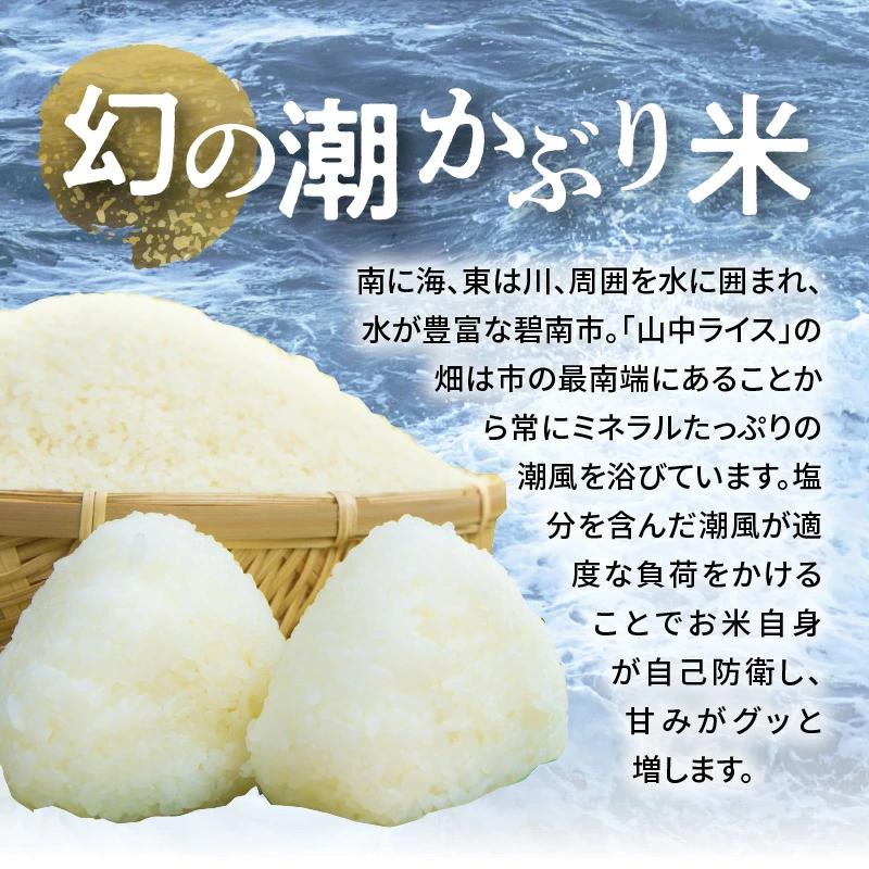 【幻の潮かぶり米】令和6年産新米 あいちのかおり&コシヒカリ2品種 食べ比べ10kg（5kg×2袋） 米 コメ 新米 あいち 愛知 かおり コシヒカリ こしひかり 予約 予約受付 H073-005