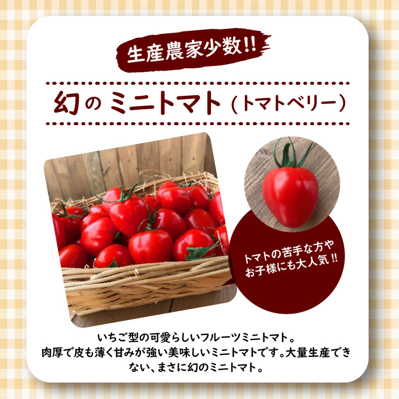 【2025年度予約分】あま～いトウモロコシ＆トマトベリー　長田農園しかできない夢の共演 【個数限定】 野菜ソムリエサミット 金賞 受賞 長田農園 産地直送 トマト とまと 野菜 やさい フルーツ サラダ 濃厚 甘い ご褒美 プレゼント 美容 健康 リピート多数 人気 高評価 数量限定 碧南市 H004-160