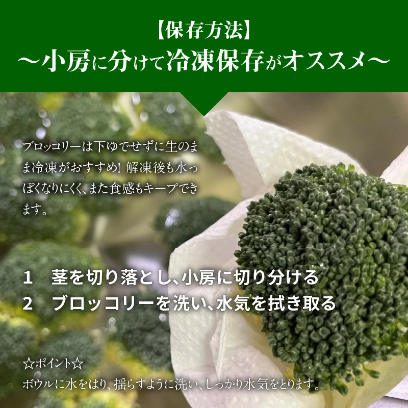 【収穫当日に発送します】豊かな大地“へきなん”から贈る　ブロッコリー約11本【期間限定】　H139-016