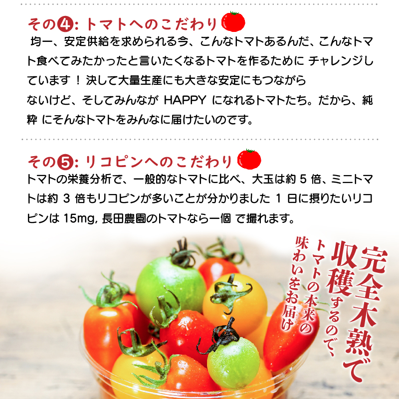 甘さ抜群!!トマト嫌いも食べられるトマトベリー約1.6kg　H004-116
