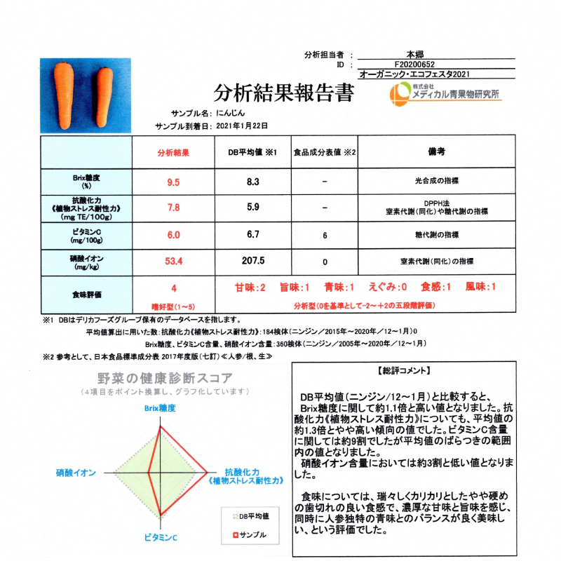 【2月上旬に発送】こどもも食べられる甘み！訳あり「マドンナキャロット」6kg キャロットジュース付き にんじん 限定 人参 国産 野菜ジュース H105-113