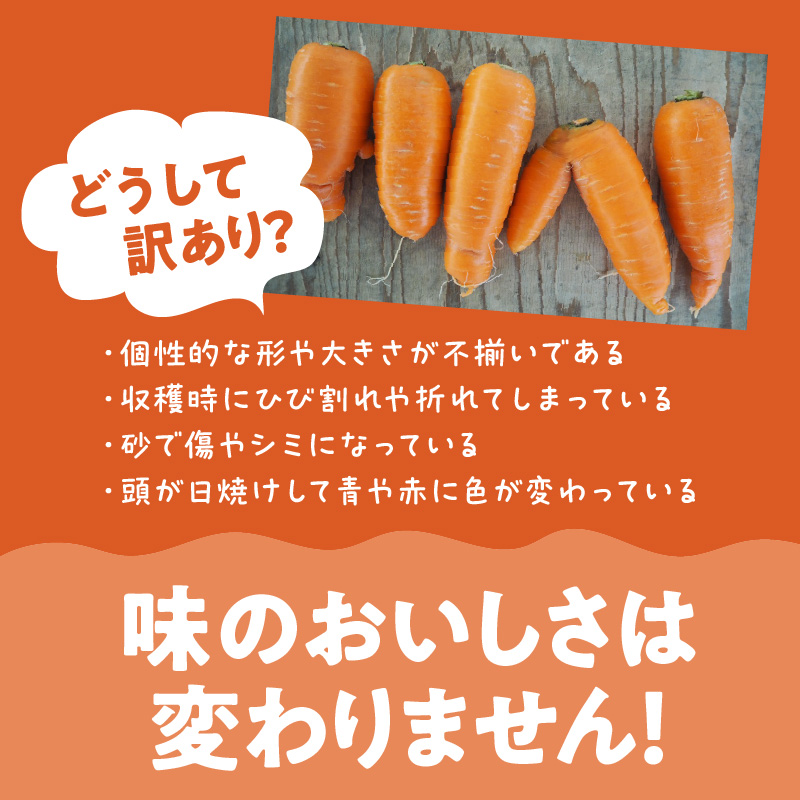 【2月上旬に発送】こどもも食べられる甘み！訳あり「マドンナキャロット」6kg キャロットジュース付き にんじん 限定 人参 国産 野菜ジュース H105-113