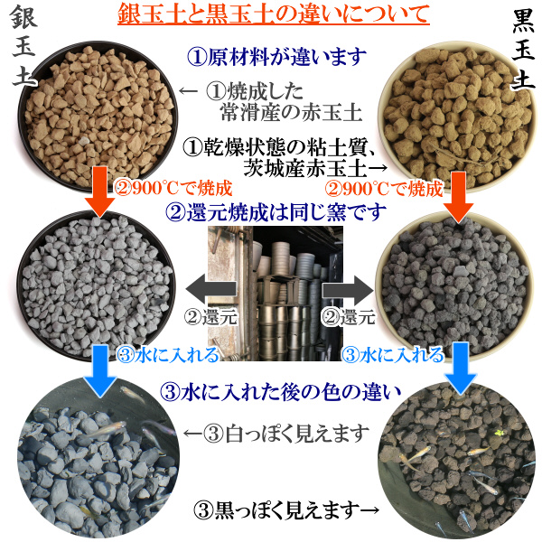 【バクテリアが多く住める多孔質ろ材】　銀玉土１リットル めだか鉢 金魚鉢 メダカ 鉢 陶器 睡蓮 多孔質土　H100-084