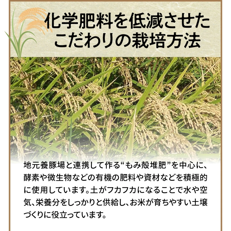 【幻の潮かぶり米】令和6年産新米 あいちのかおり&コシヒカリ＆ミルキークイーン 3品種 食べ比べ 9kg（3kg×3袋）米 コメ 新米 あいち 愛知 かおり コシヒカリ こしひかり ミルキー 予約 予約受付 H073-006