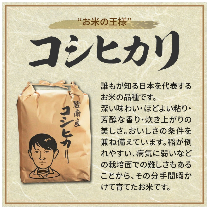 【幻の潮かぶり米】令和6年産新米 あいちのかおり&コシヒカリ2品種 食べ比べ10kg（5kg×2袋） 米 コメ 新米 あいち 愛知 かおり コシヒカリ こしひかり 予約 予約受付 H073-005