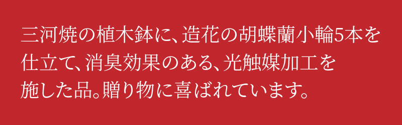 綺麗で丈夫な三河陶器で贈る光触媒胡蝶蘭小輪５本立（ブラウンの陶器×白色の花）　H100-089