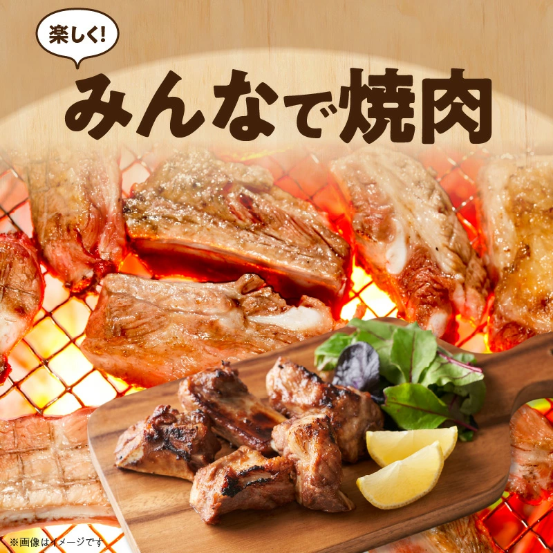 ブランド豚 “三州あおみ豚” 焼肉セット 計1.5kg（肩ロース500g＆豚バラ500g＆スペアリブ500g） 豚肉 冷凍 H030-011