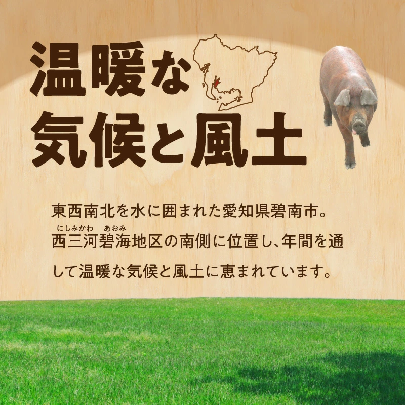 ブランド豚 “三州あおみ豚” しゃぶしゃぶセット 計2.2kg（ロース550g＆肩ロース550g&バラ550g&モモ550g） 豚肉 冷凍 H030-014