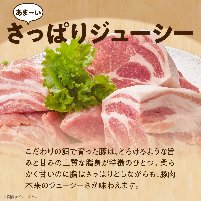 ブランド豚 “三州あおみ豚” 熱盛りパック 計1.35kg（ミンチ700g＆小間切れ650g） 豚肉 冷凍 H030-010