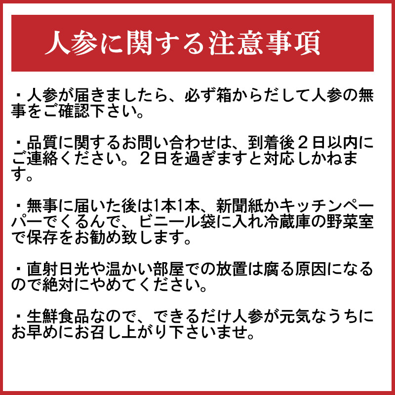 【偶数月にお届け】6回定期便 農家直送 神重農産の旬の幸せ野菜 お楽しみ定期便 にんじん 玉ねぎ 落花生　H105-108