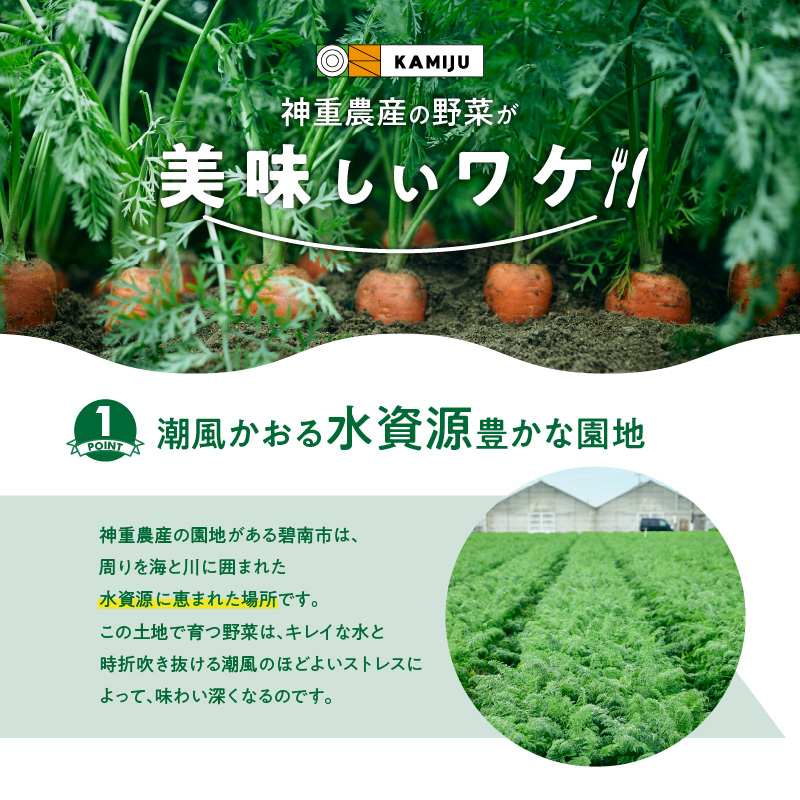 【福箱★2025】 訳ありマドンナキャロット8kg 子どもも食べられる甘み 皮ごと生で食べられる H105-154