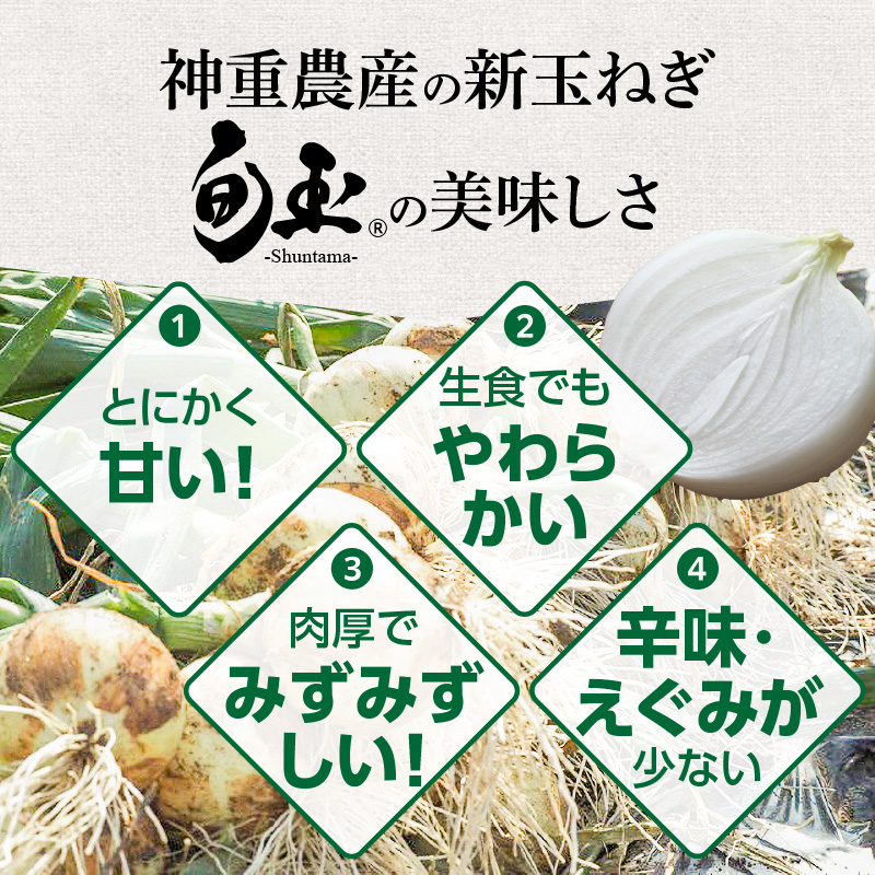 【福箱★2025】訳あり 新玉ねぎ 旬玉８kg 生がおいしい神重農産のブランド玉ねぎ H105-151