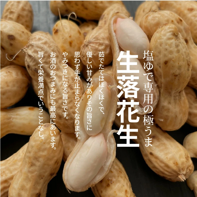 【2025年発送】事前予約 やみつき極うま “金の生落花生” 1.5kg(500g×3袋) 生ピーナッツ 塩ゆで専用　H105-142