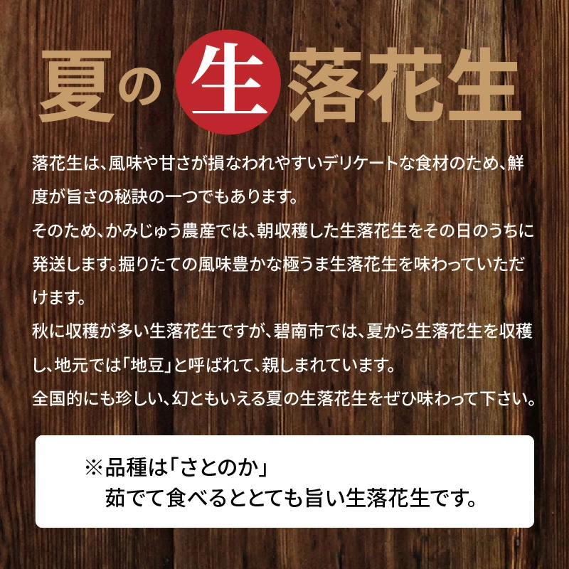 【2025年発送】事前予約 訳あり やみつき極うま “金の生落花生” 塩ゆで専用 2kg(500g×4袋）　H105-144