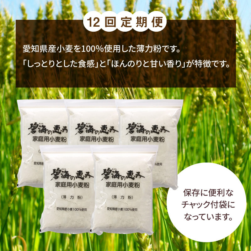 【小麦粉】碧海の恵み 薄力粉 国産 愛知県産 800g×5袋(計4kg) 定期便12回　H008-237