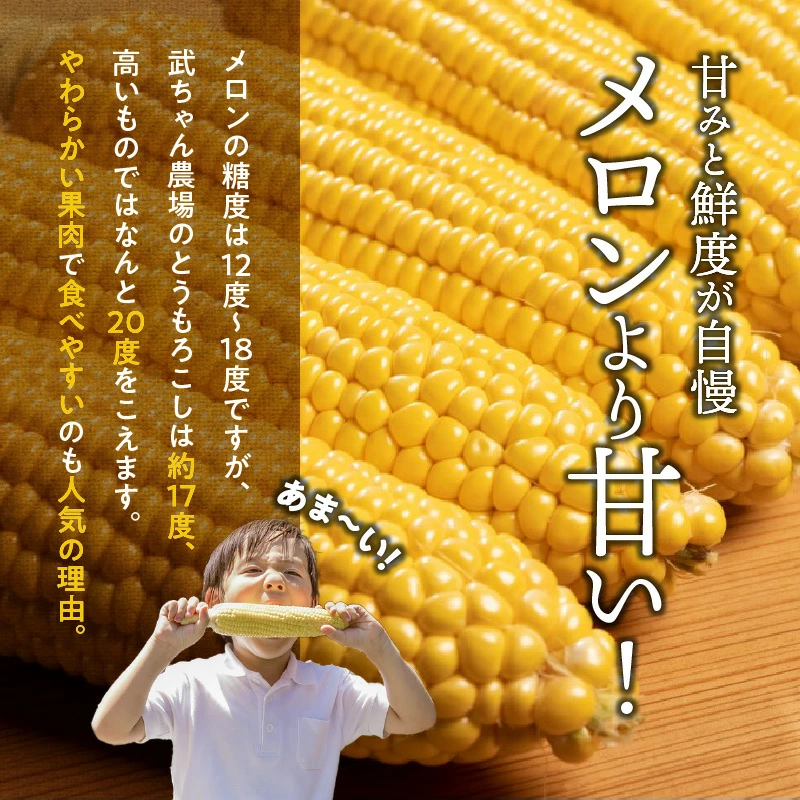 【2025年発送】朝採り直送 メロンより甘い 生とうもろこし“にっこりコーン” 10本　H095-026