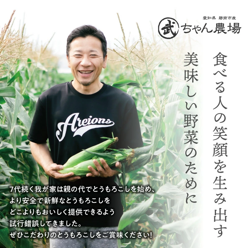 【2025年発送】朝採り直送 メロンより甘い 生とうもろこし“にっこりコーン” 10本　H095-026