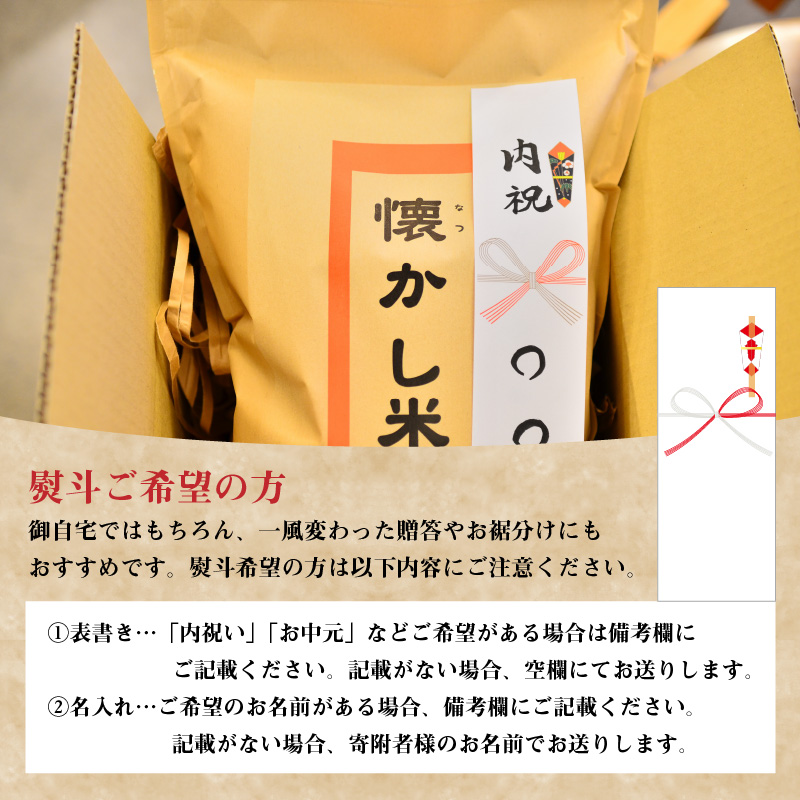 備えあれば“へーきなん”です 備蓄米 5kg 無洗米 真空パック 備蓄食 長期 食べられるお守り H056-110