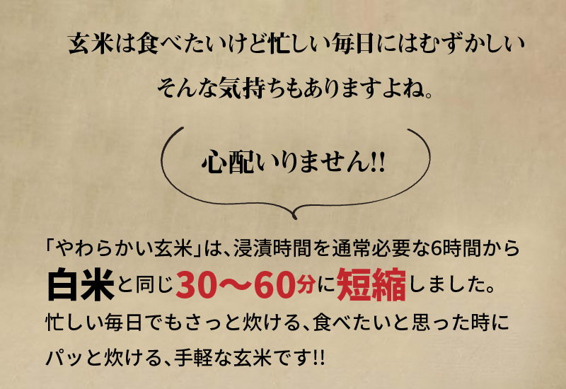 やわらかい玄米 900g　※6回定期便　安心安全なヤマトライス　H074-598